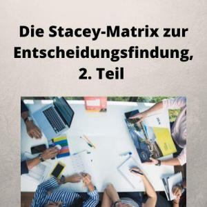 Die Stacey-Matrix zur Entscheidungsfindung, 2. Teil
